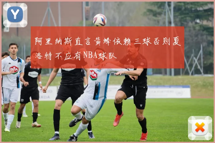 阿里纳斯直言黄蜂依赖三球否则夏洛特不应有NBA球队