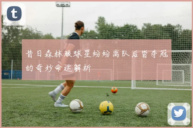 昔日森林狼球星纷纷离队后皆夺冠的奇妙命运解析