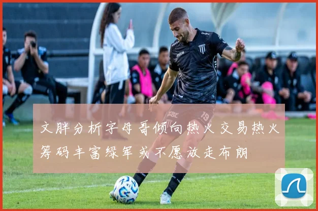 文胖分析字母哥倾向热火交易热火筹码丰富绿军或不愿放走布朗