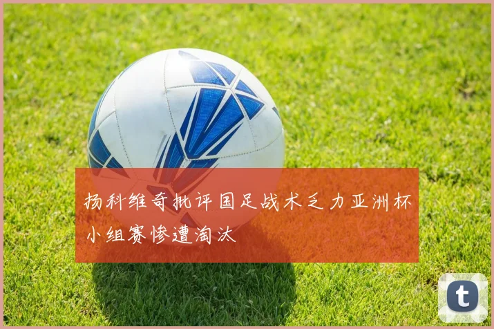 扬科维奇批评国足战术乏力亚洲杯小组赛惨遭淘汰